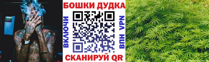 A PVP Барнаул