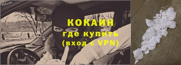 прущие грибы Иннополис