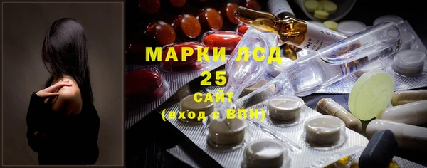 прущие грибы Иннополис