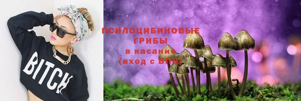 прущие грибы Иннополис