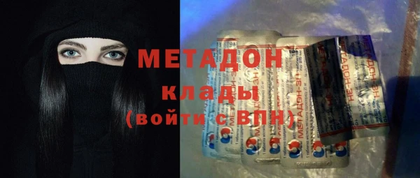 прущие грибы Иннополис