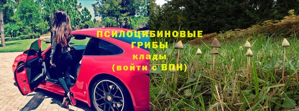 прущие грибы Иннополис