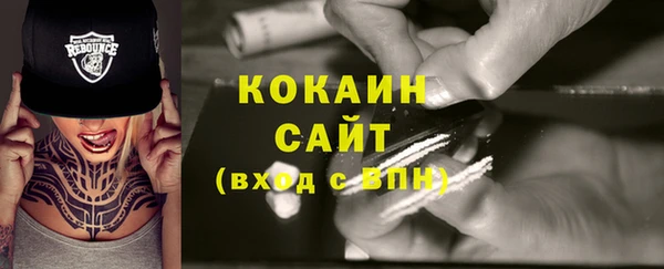 прущий лед Каменка