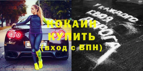 прущие грибы Иннополис