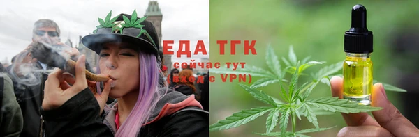прущие грибы Иннополис