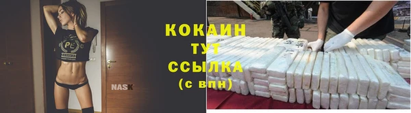 прущие грибы Иннополис