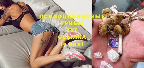 прущие грибы Иннополис