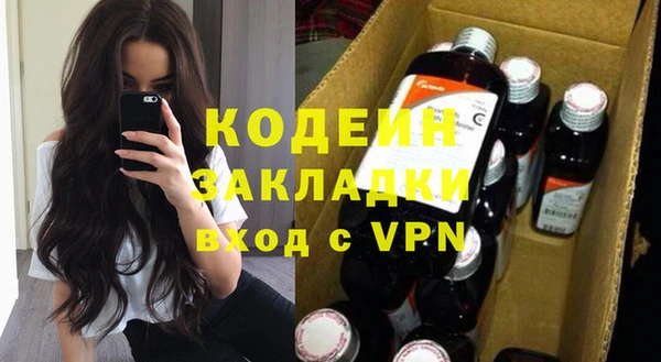 прущие грибы Иннополис