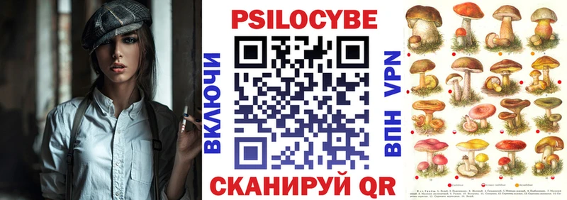 Купить  Барнаул  Галлюциногенные грибы Psilocybine cubensis 